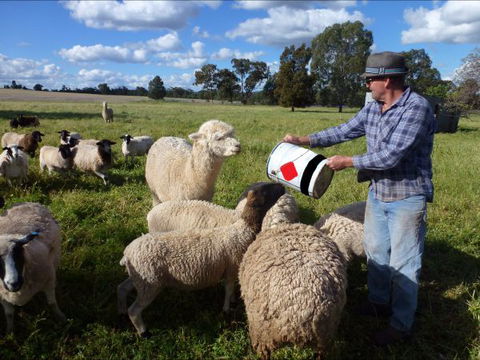 Selby Organic Farm Stay - Tourism TAS 6
