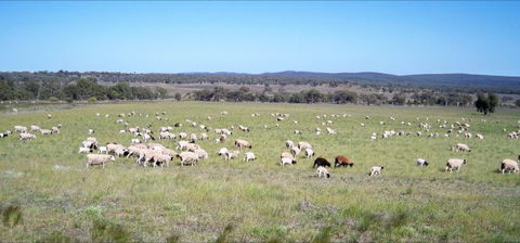 Selby Organic Farm Stay - Tourism TAS 7