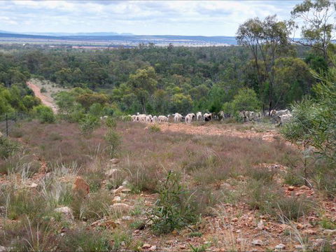 Selby Organic Farm Stay - Tourism TAS 8
