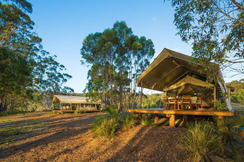 Tanja Lagoon Camp - Hobart Tourism 0