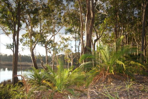 Tanja Lagoon Camp - Hobart Tourism 7