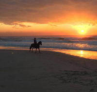 Tassiriki Ranch Beach Horse Riding and Holiday Cabins - Hobart Tourism