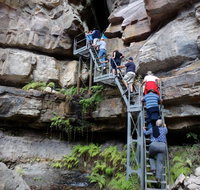 Takarakka Bush Resort Carnarvon Gorge - Tourism TAS