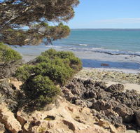 Wallaby Beach House - Hobart Tourism