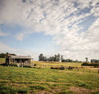 Wines for Joanie Cottage - Tourism TAS