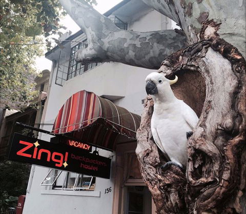 Zing! Backpackers Hostel - Tourism TAS 0