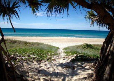 Pacific Surf - Tourism TAS 4