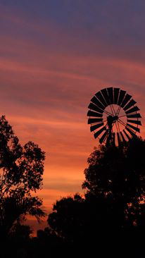 Emerald Springs Roadhouse - Tourism TAS 9