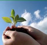 Vital Spirit Natural Health - Hobart Tourism
