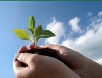 Vital Spirit Natural Health - Tourism TAS 0