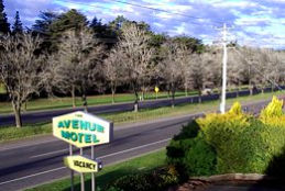 Avenue Motel - Tourism TAS 0