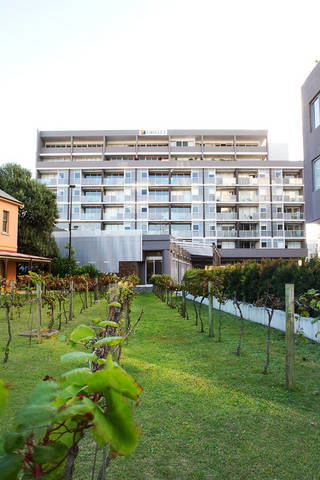 B7 Honeysuckle Apartments - Tourism TAS 1