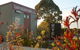 Brainsdale Motel - thumb 4