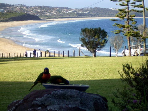 Beach Cabins Merimbula - Hobart Tourism 5