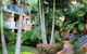Bella Mare Beachside Apartments - thumb 6