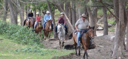 Bestbrook Mountain Resort - Tourism TAS 3