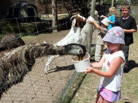 BIG4 Bairnsdale Holiday Park - Hobart Tourism 0