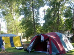 BIG4 Forbes Holiday Park - Hobart Tourism 2