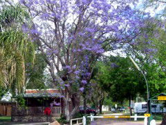 BIG4 Forbes Holiday Park - Hobart Tourism 3