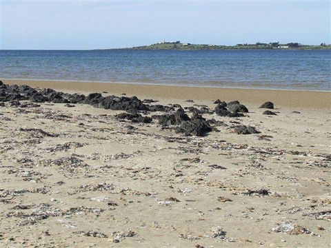 BIG4 Kelso Sands Holiday & Native Wildlife Park - Hobart Tourism 1