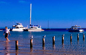 Blue Dolphin Caravan Park & Holiday Village - Tourism TAS 4
