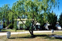 Glenlyon QLD Hobart Tourism