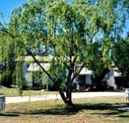 Blue Topaz Caravan Park  Camping Ground - Hobart Tourism