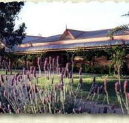 Bluebush Estate - Hobart Tourism
