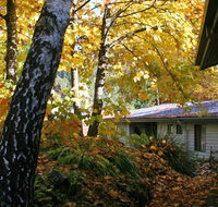 Bogong Village - Tourism TAS