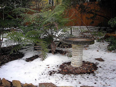 Brantwood Cottage - Tourism TAS 2