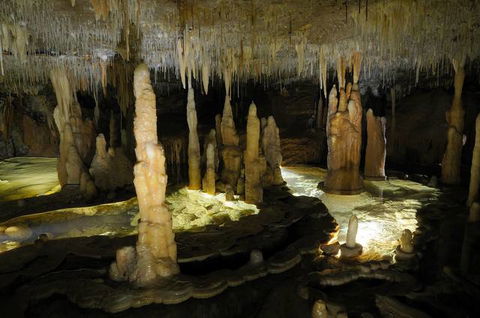 Buchan Caves Reserve - Tourism TAS 3