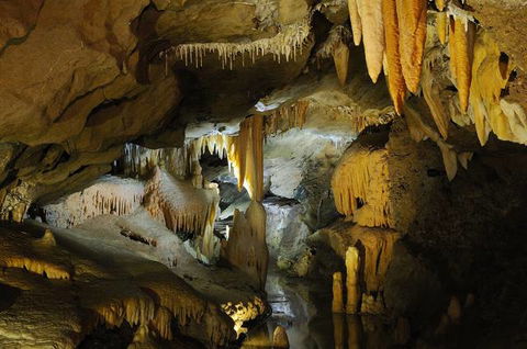Buchan Caves Reserve - Tourism TAS 4