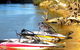 Cadell On The Murray Motel Resort - thumb 5