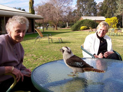 Cadell On The Murray Motel Resort - Tourism TAS 6