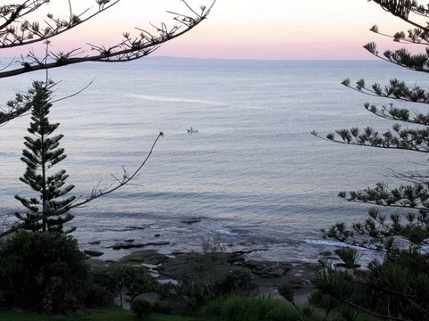 Campbells Cove Beachfront Apartments - Tourism TAS 1
