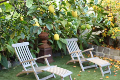 Captains Retreat B&B - Hobart Tourism 1