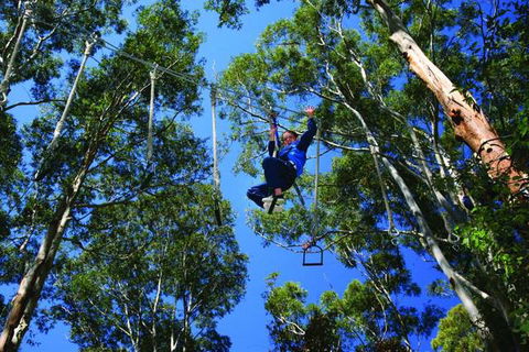 Cedar Creek Lodges At Thunderbird Park™ - Hobart Tourism 2