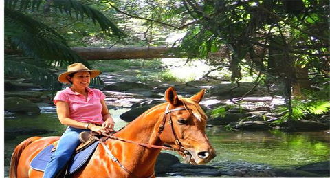 Cedar Creek Lodges At Thunderbird Park™ - Hobart Tourism 7