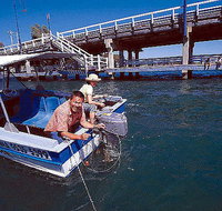 Comfort Inn Mandurah - Tourism TAS