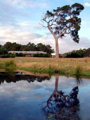 Craythorne Country House Metricup - Tourism TAS 4