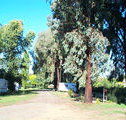 Cudal Caravan Park - Tourism TAS