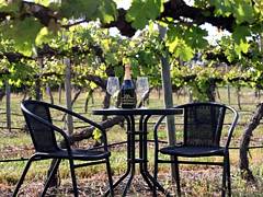 De Vine Escape - Hobart Tourism 4