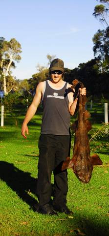 Denmark Rivermouth Caravan Park - Tourism TAS 4