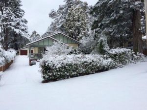 Brantwood Cottage - Tourism TAS 5