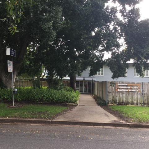 Emerald Veterinary Surgery, Boarding Kennel & Cattery - Hobart Tourism 0