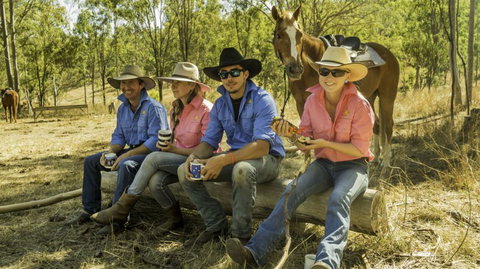 Australian Working Adventures / Visitoz - Tourism TAS 0