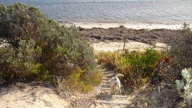 WindSong Beach House - Tourism TAS 0