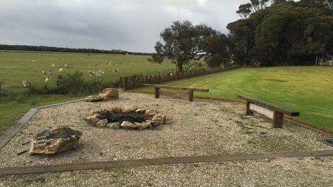Unwind At The Park - Hobart Tourism 0
