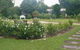 Hathaway Bed & Breakfast - thumb 6