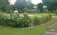 Hathaway Bed & Breakfast - thumb 2